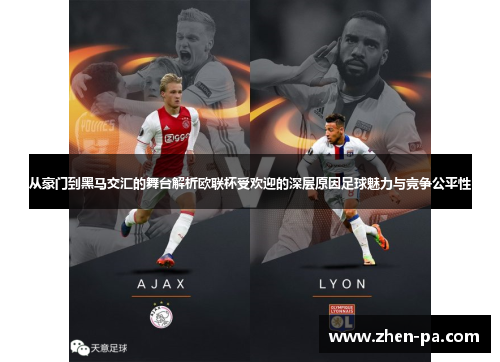 从豪门到黑马交汇的舞台解析欧联杯受欢迎的深层原因足球魅力与竞争公平性