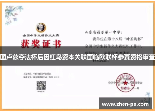 图卢兹夺法杯后因红鸟资本关联面临欧联杯参赛资格审查