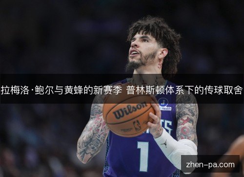 拉梅洛·鲍尔与黄蜂的新赛季 普林斯顿体系下的传球取舍 拉梅洛·鲍尔与黄蜂的新赛季 普林斯顿体系下的传球取舍